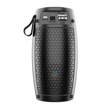 ZQS1201 Wireless Speaker